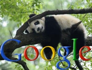 Google Panda 4.0