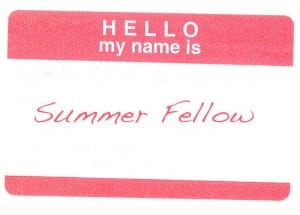 Summer Fellow