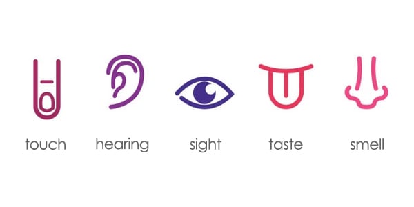 The Future of Multi-sensory Marketing: Tapping into Our Five Senses