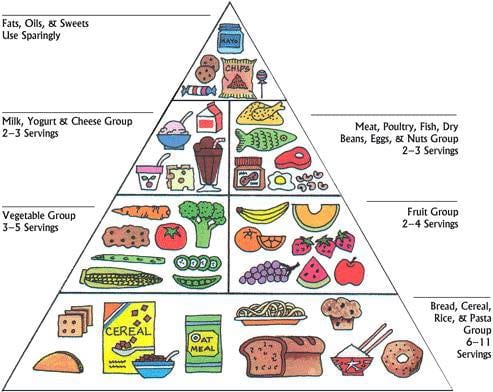 A Seismic Shift in Our Eating Behavior