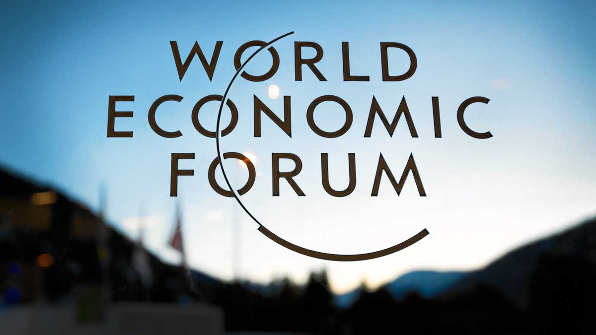 Why WEF Matters: In Your Own Words