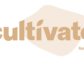Ketchum Cultivate Brings Strategic Marketing and Communications Consulting to Canadian Cannabis Market