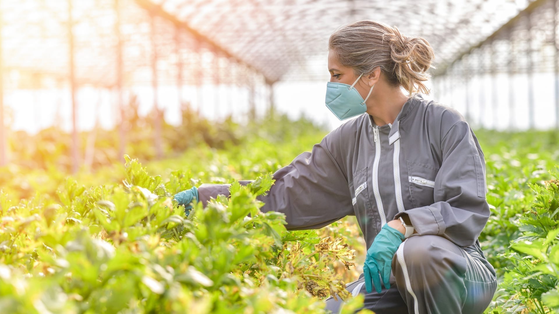 Helping Food and Agriculture Workers Find Stability - woman checking crops in greenhouse.jpg