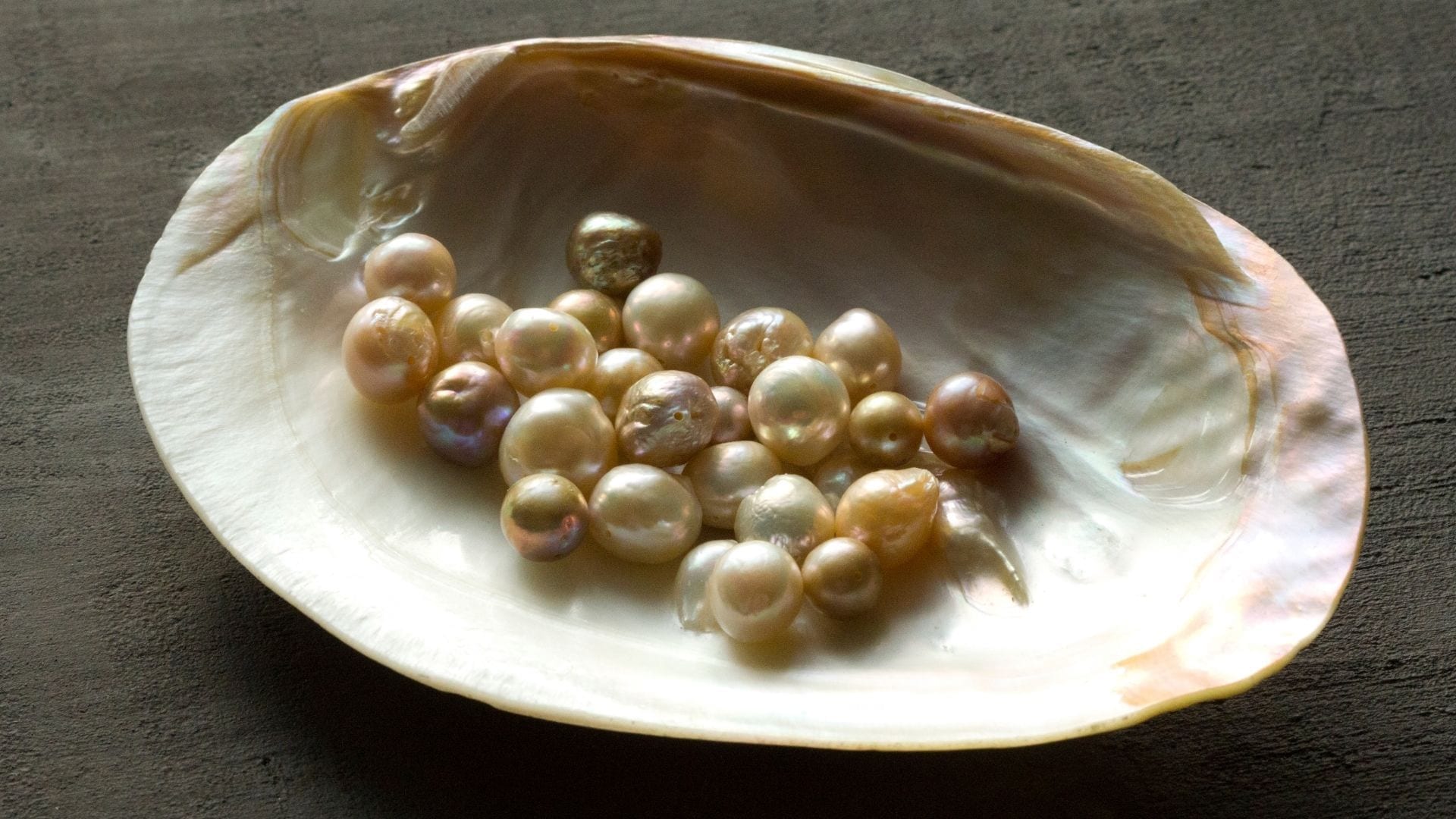 A Few Final Pearls for Life and Career - photo of loose pearls in an upturned shell