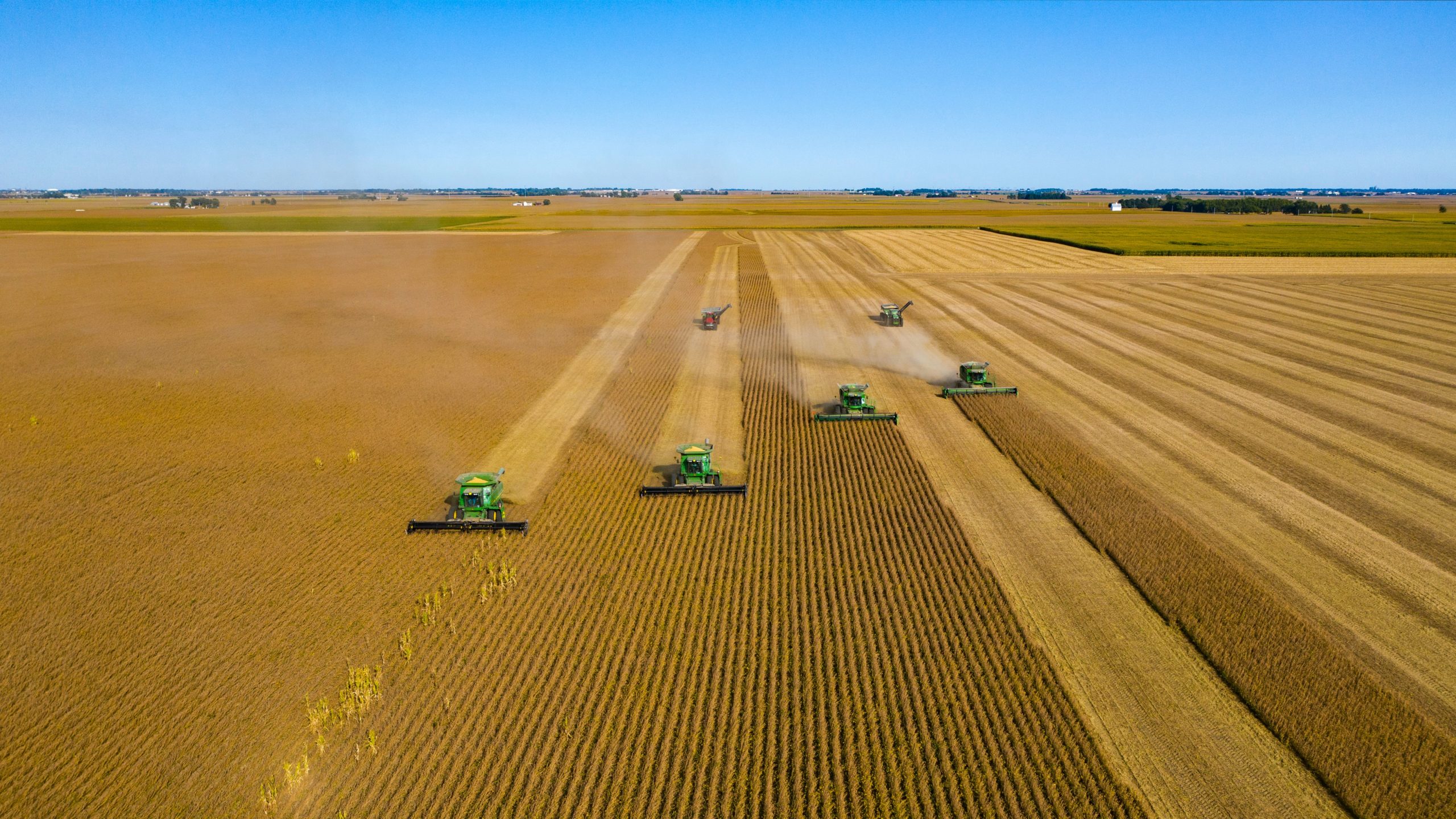 Crop harvest field