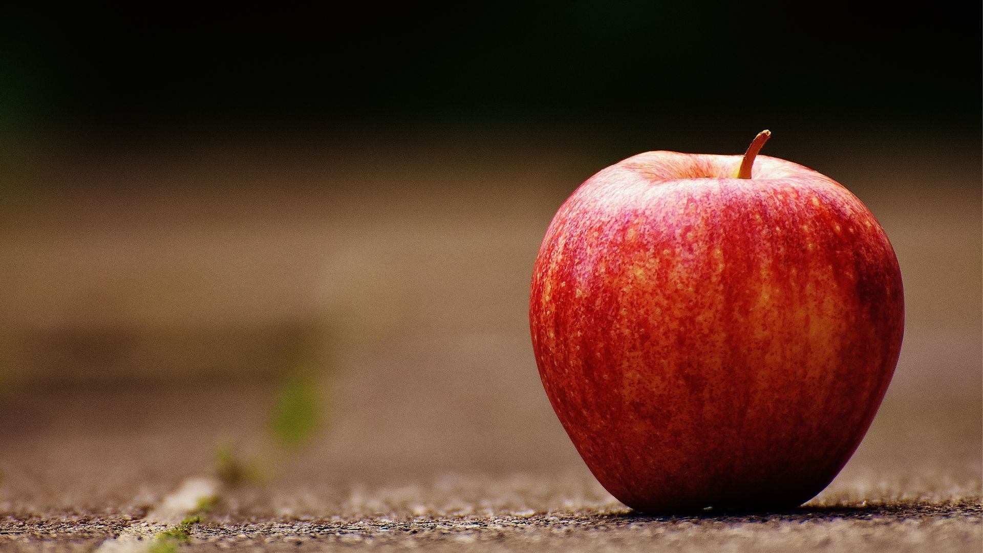 photo of a whole, red apple